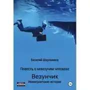 Постер книги Везунчик