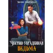 Постер книги Честно украденная ведьма