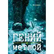 Постер книги Гений с метлой