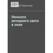 Постер книги Немного вечернего света в окне