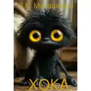 Постер книги Хока