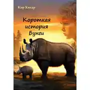 Постер книги Короткая история Бунги