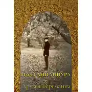 Постер книги Друзья Бергманна