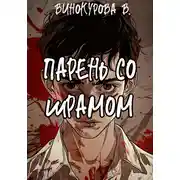 Постер книги Парень со шрамом