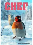 Иван Царегородцев - Снег
