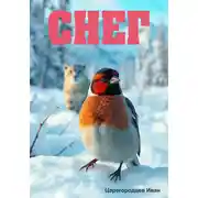 Постер книги Снег