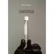 Постер книги Заколка