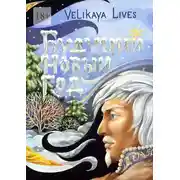 Постер книги Будущий Новый год