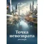 Постер книги Точка невозврата