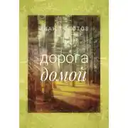 Постер книги Дорога домой