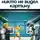 Владимир Познание - Никто не видел картину