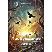 Постер книги Ворон. Пробуждение огня