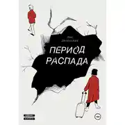 Постер книги Период распада