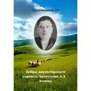 Постер книги Зубры директорского корпуса. Халиуллин А.Х. – Хозяин