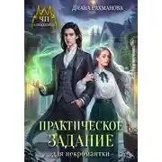 Постер книги Практическое задание для некромантки