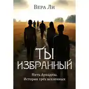 Постер книги Ты избранный. История трех вселенных