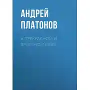 Постер книги В прекрасном и яростном мире