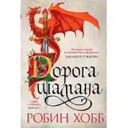 Постер книги Дорога шамана