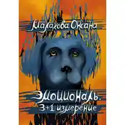 Постер книги Эмоциональ. 3+1 измерение