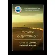 Постер книги Начала о духовном. Книга VI. Школа в нашей жизни