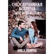 Постер книги (Не) случайная встреча под Новый год