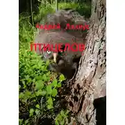 Постер книги Птицелов