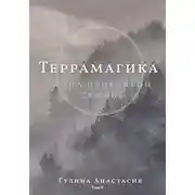 Постер книги Террамагика. Тайна проклятой семьи