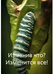 Ирина Размахнина - Изменив что? Изменится все!