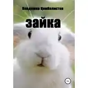 Постер книги Зайка