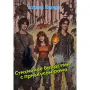 Постер книги Стихийное бардствие с привкусом рома