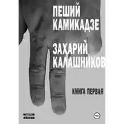 Постер книги Пеший камикадзе. Книга первая