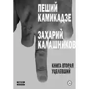 Постер книги Пеший камикадзе. Книга вторая. Уцелевший