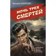 Постер книги Ночь трех смертей