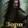Дмитрий Дроздов - Зорн