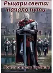 Константин Теренин - Рыцари света: начало пути