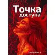 Постер книги Точка доступа