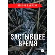 Постер книги Застывшее время