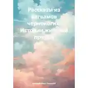 Постер книги Рассказы из вигвамов черноногих. Истории жителей прерий