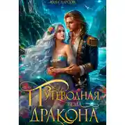 Постер книги Путеводная звезда дракона