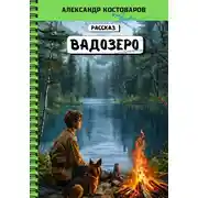 Постер книги Вадозеро