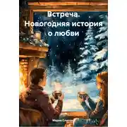 Постер книги Встреча. Новогодняя история о любви