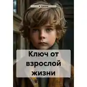 Постер книги Ключ от взрослой жизни