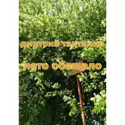 Постер книги Лето обещало