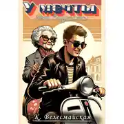 Постер книги У мечты нет возраста