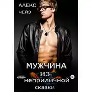 Постер книги Мужчина из неприличной сказки