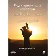 Постер книги Под крылом орла Саладина