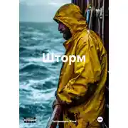 Постер книги Шторм