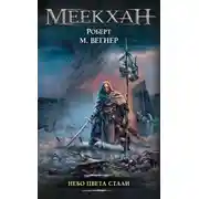 Постер книги Небо цвета стали