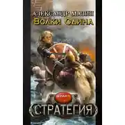 Постер книги Волки Одина