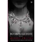Постер книги Возвращение